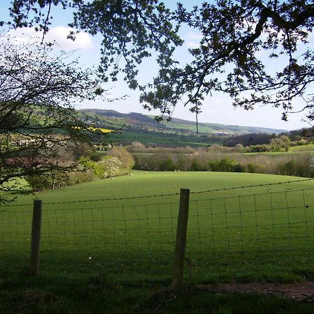 Highfield Panzió Hay-On-Wye Kültér fotó