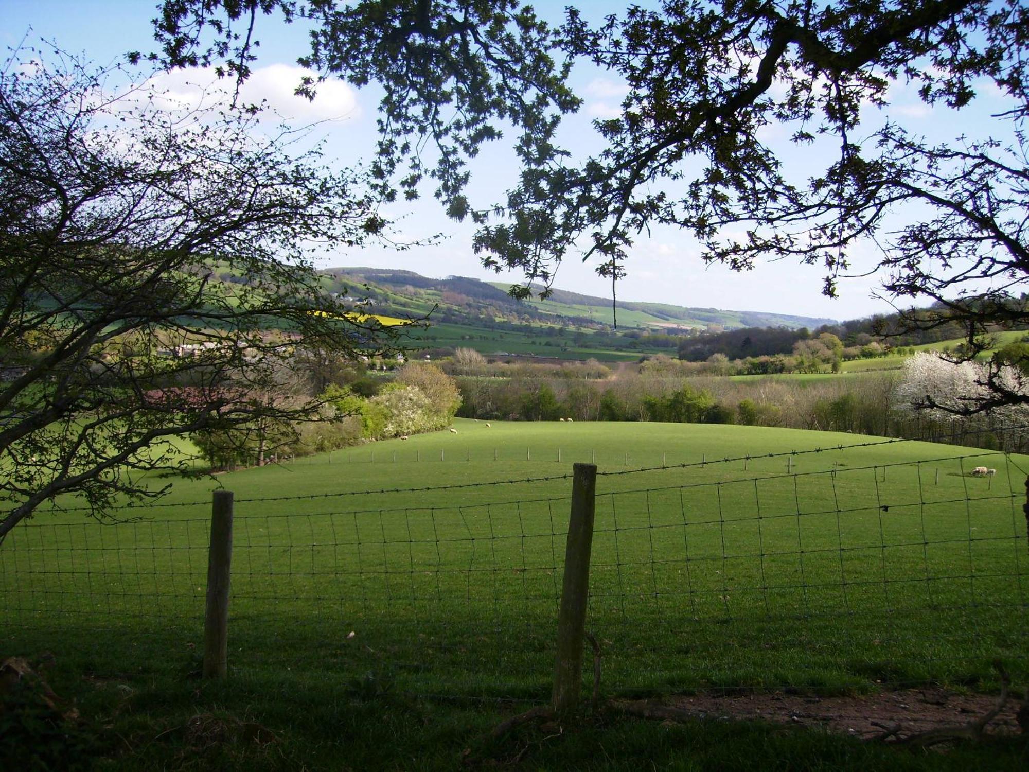 Highfield Panzió Hay-On-Wye Kültér fotó