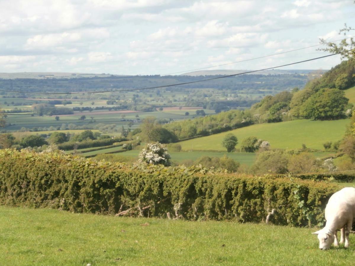 Highfield Panzió Hay-On-Wye Kültér fotó